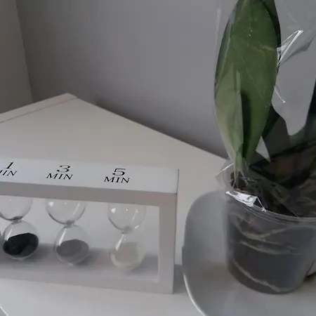 Confort 10 En Gros * Сан-Себастьян