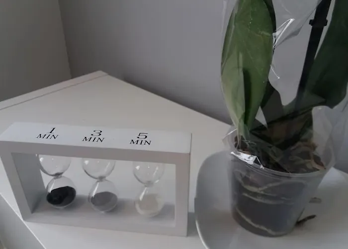 Confort 10 En Gros * San Sebastián